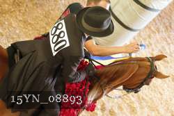 15YN_08893 thumbnail