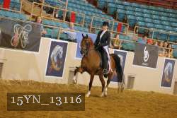 15YN_13116 thumbnail