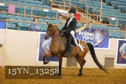15YN_13258 thumbnail