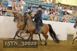 15YN_32622 thumbnail