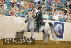 15YN_32624 thumbnail