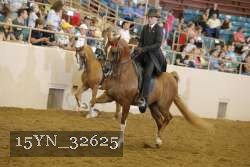 15YN_32625 thumbnail