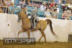 15YN_32626 thumbnail