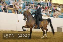 15YN_32627 thumbnail