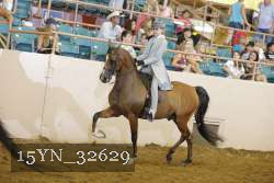 15YN_32629 thumbnail