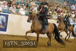 15YN_32631 thumbnail