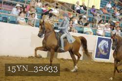 15YN_32633 thumbnail