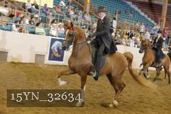 15YN_32634 thumbnail