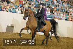 15YN_32635 thumbnail