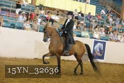 15YN_32636 thumbnail