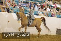 15YN_32640 thumbnail