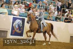 15YN_32641 thumbnail