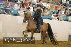 15YN_32642 thumbnail