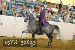 15YN_32643 thumbnail