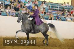 15YN_32644 thumbnail