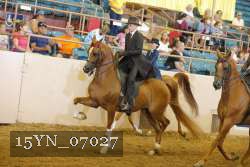 15YN_07027 thumbnail