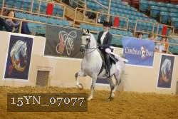 15YN_07077 thumbnail