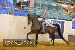 15YN_07089 thumbnail