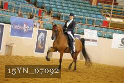 15YN_07092 thumbnail