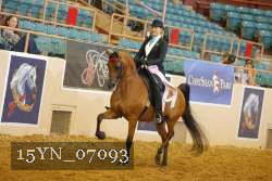 15YN_07093 thumbnail