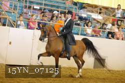 15YN_07125 thumbnail