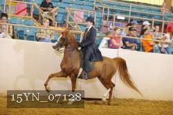 15YN_07128 thumbnail