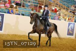15YN_07129 thumbnail