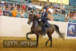 15YN_07130 thumbnail