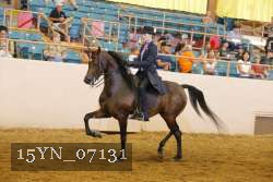 15YN_07131 thumbnail