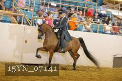15YN_07141 thumbnail