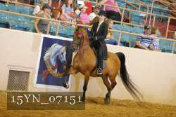 15YN_07151 thumbnail