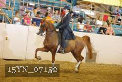 15YN_07152 thumbnail