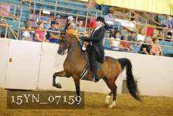 15YN_07159 thumbnail
