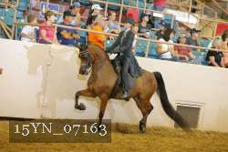 15YN_07163 thumbnail