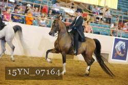 15YN_07164 thumbnail