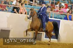 15YN_07166 thumbnail