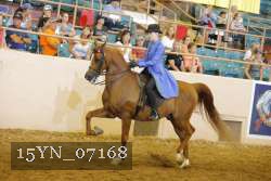 15YN_07168 thumbnail