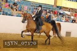 15YN_07170 thumbnail