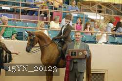 15YN_20123 thumbnail