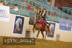 15YN_20247 thumbnail