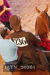 15YN_20261 thumbnail