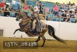 15YN_28438 thumbnail