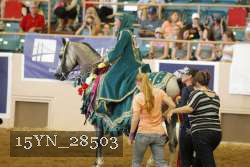 15YN_28503 thumbnail