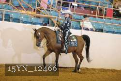 15YN_12466 thumbnail