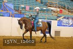 15YN_12602 thumbnail
