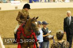 15YN_34220 thumbnail