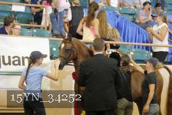 15YN_34252 thumbnail