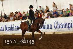 15YN_02145 thumbnail