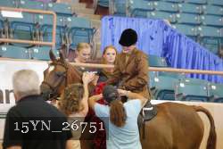 15YN_26751 thumbnail