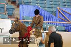 15YN_26752 thumbnail